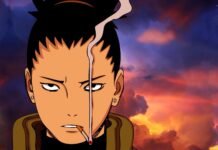 Shikamaru’s Chunin Exam: Tactical Genius Unveiled! Shikamaru's Chunin Exam: Tactical Genius Unveiled!